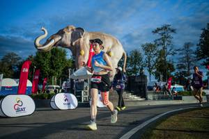 BIB: 
                            <button type="button" onclick="openModal(26541558)" class="btn btn-primary btn-sm float-right btn-popup" data-toggle="modal" data-target=".modal-high-quality">
                        <i class="fas fa-shopping-cart"></i> Add to Cart
                    </button>
                                            <button type="button" onclick="isThisMe(26541558, true)" class="btn btn-success btn-sm float-right btn-popup btn-isme hidden" data-toggle="tooltip" data-placement="bottom" title="นี่คือรูปของคุณใช่ไหม คลิกที่นี่เพื่อเอาเข้าอัลบั้ม">
                        <i class="fas fa-plus"></i> Add to album
                    </button>
                    <button type="button" onclick="isThisMe(26541558, false)" class="btn btn-warning btn-sm float-right btn-popup btn-isnotme hidden">
                        <i class="fas fa-ban"></i> Remove from album
                    </button>